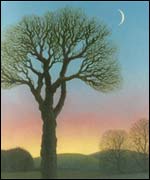 Three day moon by Ann Brain 