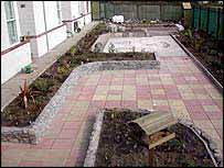 The garden from the window of the special needs staff room