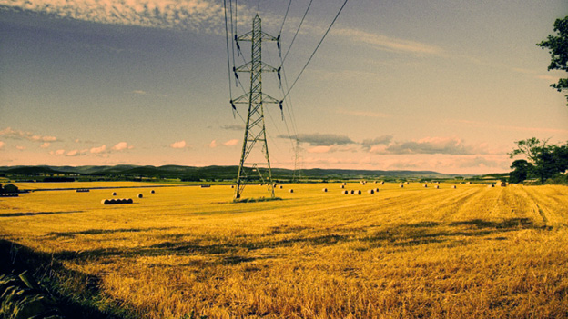An electricity pylon standing in flat fields in golden, early evening light