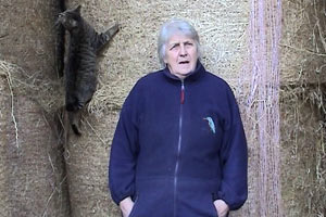 Spring is a very busy time for Annis.