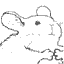 A Mouse.