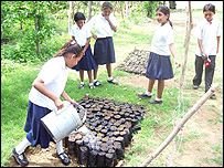 Children in the School Garden Project