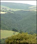 Horner Wood