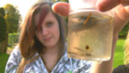 Teenage girl holding a beaker of pond water, containing a water snail.