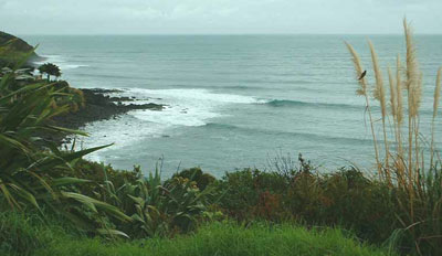 Whale Bay