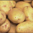 Batatas
