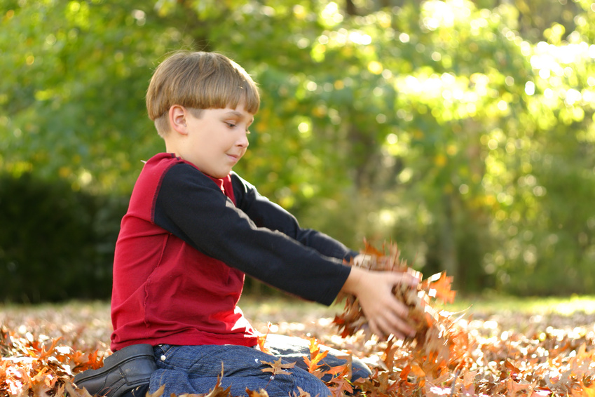 boy playing with leaves @ Leah-Anne Thompson - fotolia.com