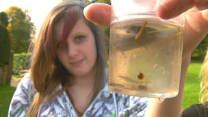 Teenage girl holding a beaker of pond water, containing a water snail.