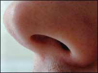 Nose