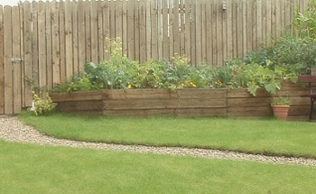 An abundance of veg.