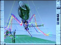 wireframe of mosquito