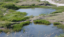 the coastal track to Rhoose Point