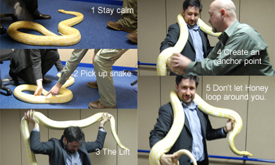 howtopickupasnake.jpg