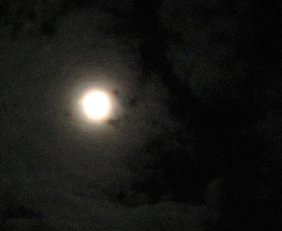 The Whole Of the Moon