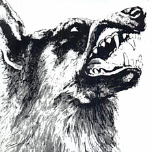 Review of I, Vigilante Review of I, Vigilante