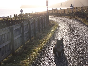 The open road