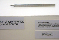 Camgymeriad yr wythnos