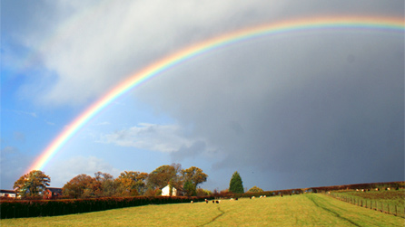 A rainbow over Forden in Mid Wales by Ian Francis.