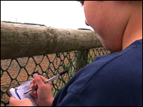 Small boy plane spotting