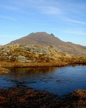 The Cobbler