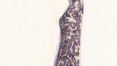 Sparkle and Colour... Sparkle and Colour...
