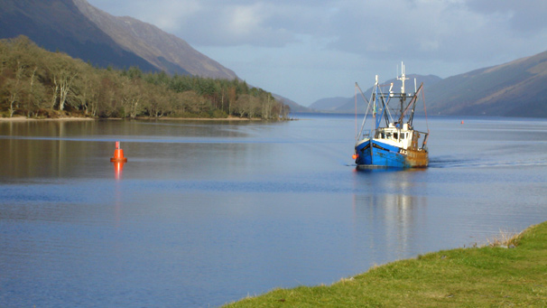 fishing boat, photo courtesy of J Mathers