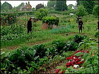 Twyford Allotment