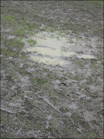 West Wilts Show 2007, Trowbridge Park, 28th July