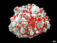 Célula imunológica infectada pelo HIV
