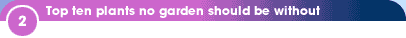 2 - Top ten plants