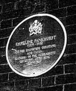 plaque