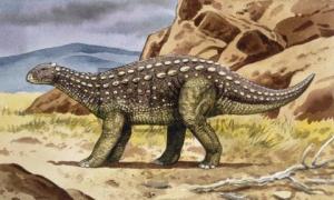 Scelidosaurus1145647614.jpg