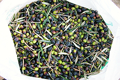 Every Port Has A Name For The Sea