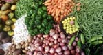 vegetables from a farm