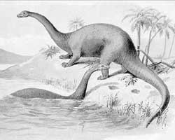 Brontosaurus