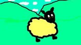 Yellow sheep...