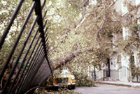 Difrod ar ôl stormydd mawr 1987