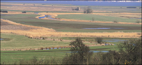 North Kent marshes seen from Northward Hill