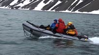 Inflatable patrol boat following beluga whales