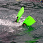 Nice flippers