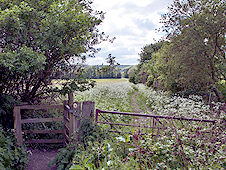 A gate and footpath through fields on the Gloucestershire Way near Winchcombe