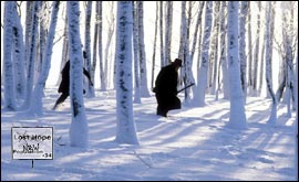 Is the dictator's reign at an end?