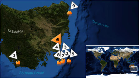 Dive map - Southern Ocean - Site 6