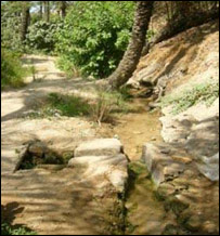 ضايعات آب
