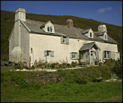 The cottage 