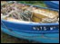 Souter to Whitburn walk (image: Fishing boat)
