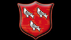 Dundalk SBL Team Crest