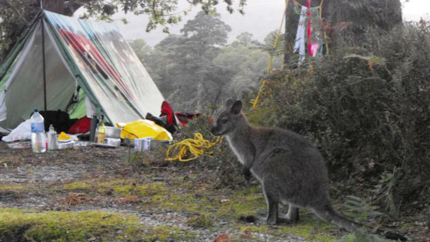 In time they moved closer and while there were no sudden movements they were happy to stay.