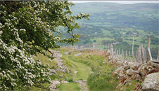 Roman road