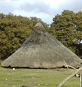 Image of an Iron Age roundhouse